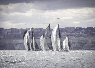 Borrowed from cycling, "peloton" describes a tightly packed group of competitors — here, a cluster of racing sails.