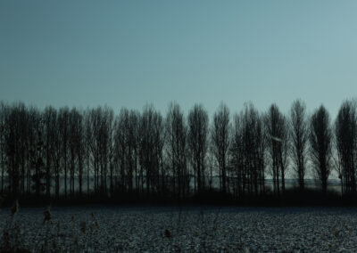 Rows of trees planted as windbreaks are a familiar sight in the French countryside, shaped by generations of agricultural practice.
